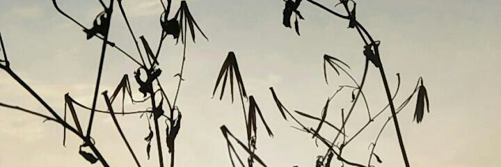 idayni99's profile banner image