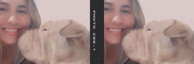 FloorPrimucci's profile banner image