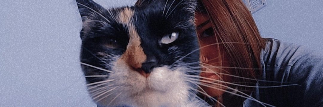 miliavila_'s profile banner image