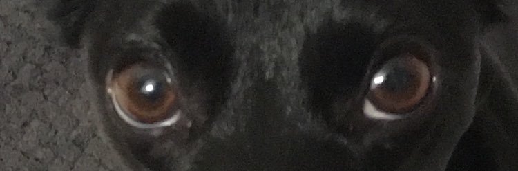 7ymzz's profile banner image