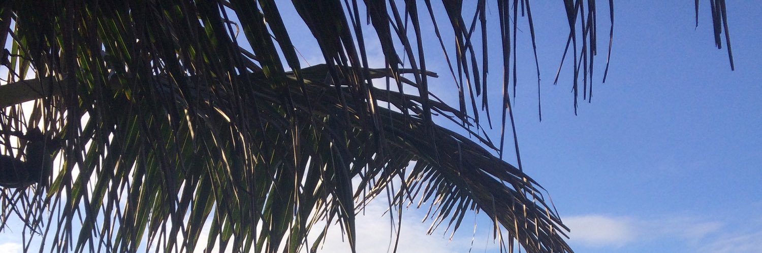 Vic_cln's profile banner image