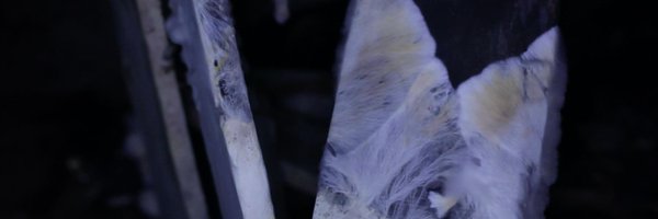 GLASSBOXARS Profile Banner