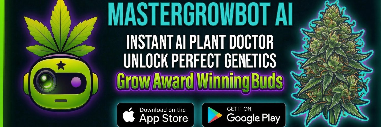 Indiana Jones of Business banner