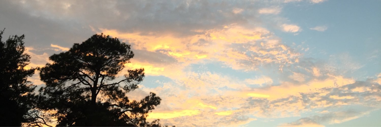 ashhhcook's profile banner image