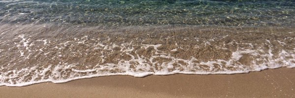 katrinacinus Profile Banner