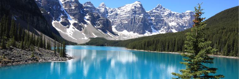 foreverfittime's profile banner image