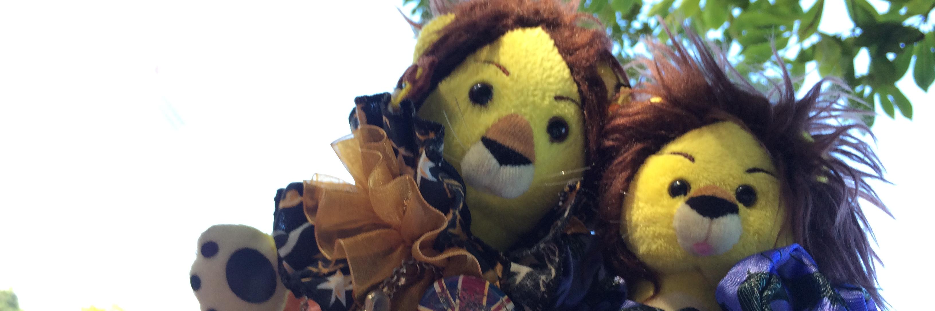 botch_ch's profile banner image