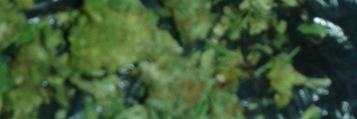 bnflyxx's profile banner image