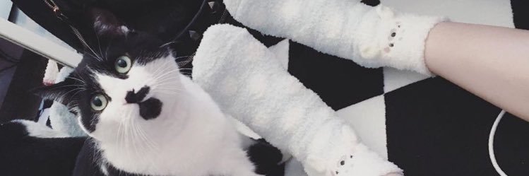 rytmf0510's profile banner image