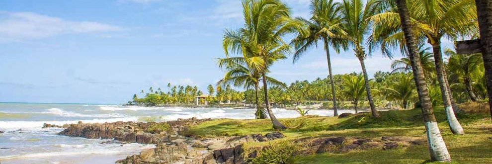 Leonardo Floresta banner