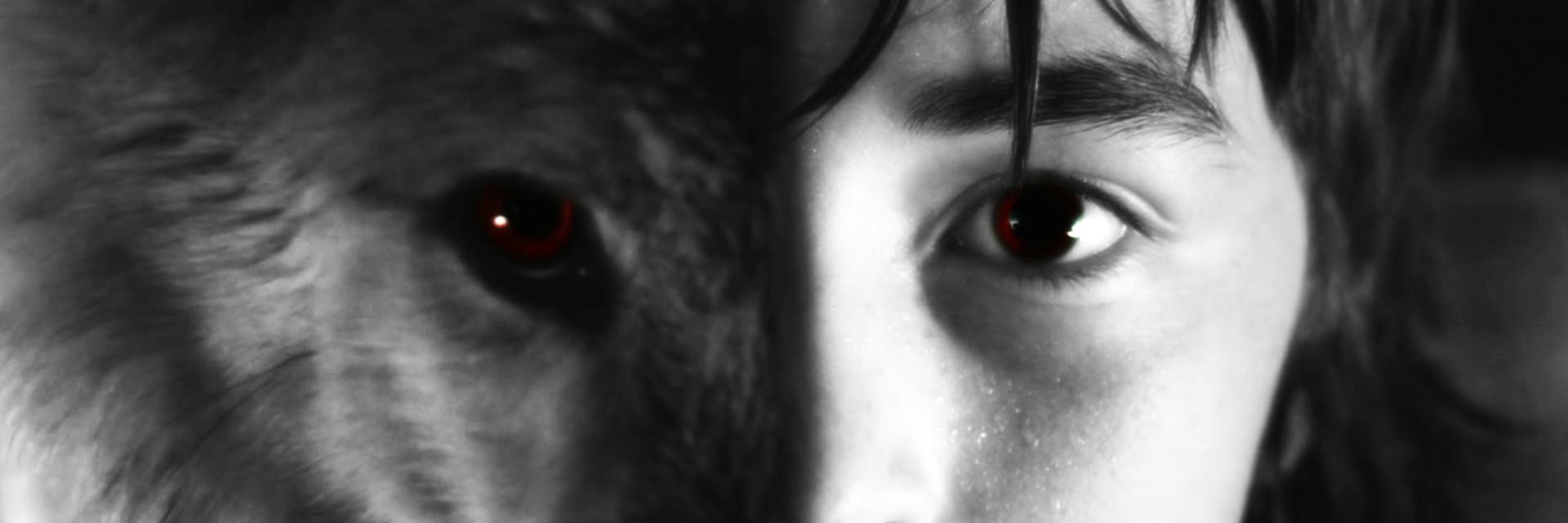 LisiadoStark's profile banner image