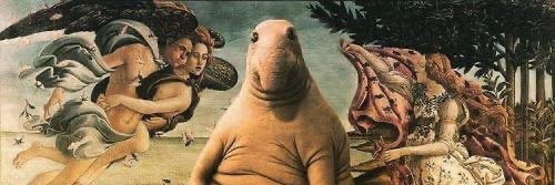 BiujaMala's profile banner image