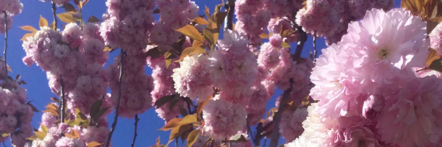 Bryncorey's profile banner image