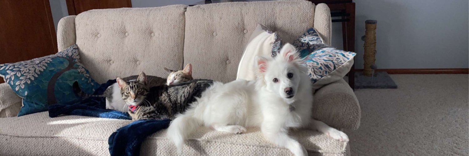 ChelLynn12's profile banner image