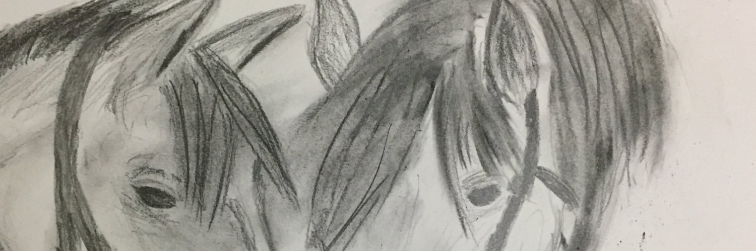 bf64aaf9c77b4ad's profile banner image