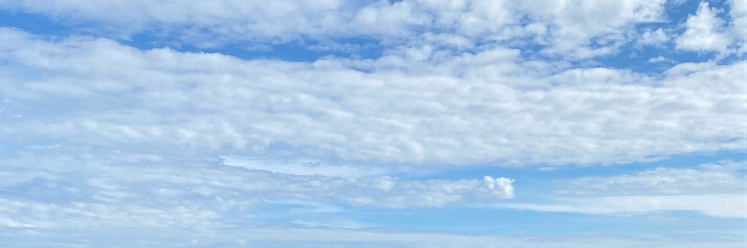 srferro119's profile banner image
