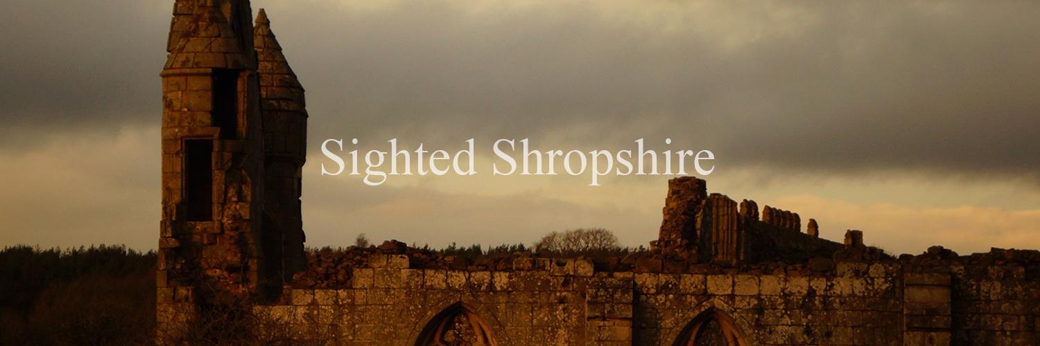 SightedShrops's profile banner image