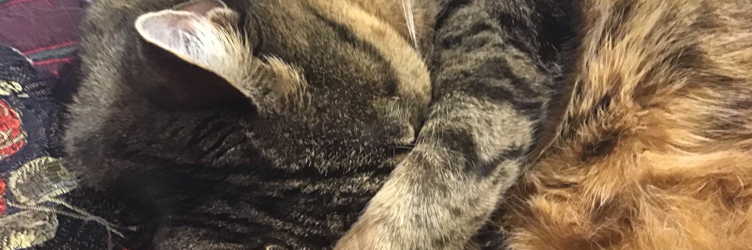 MouseMissM's profile banner image