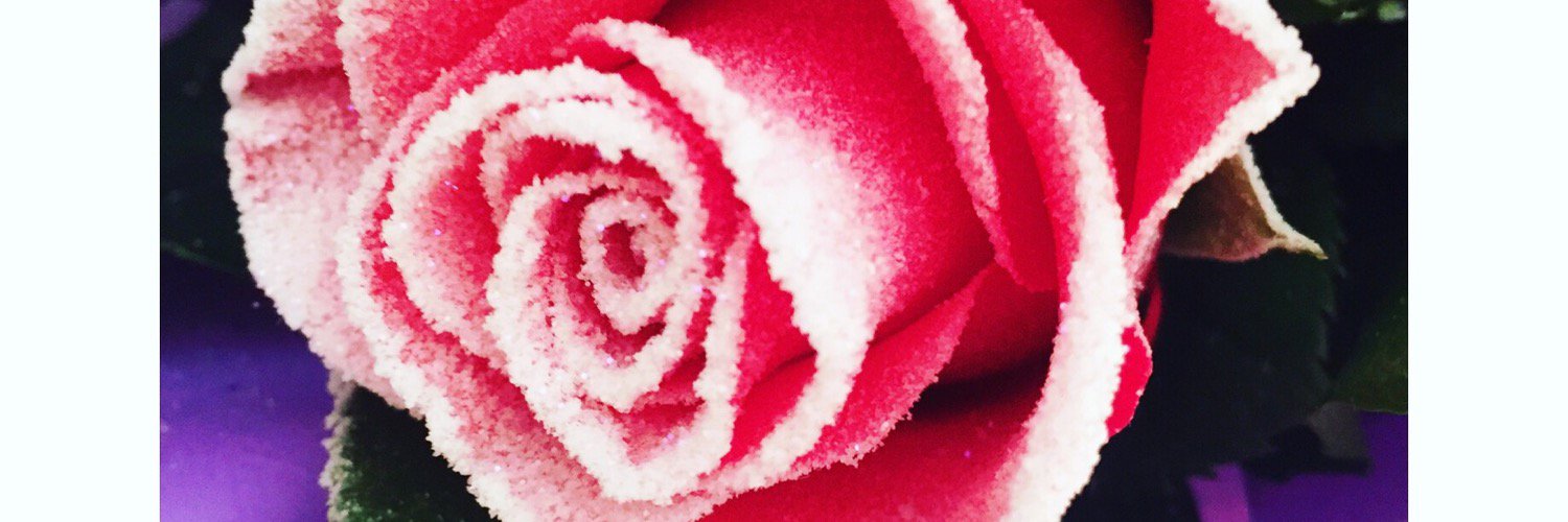 Megs__xx's profile banner image
