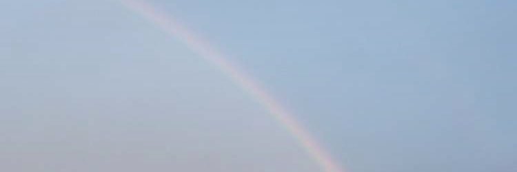abbisnail_'s profile banner image