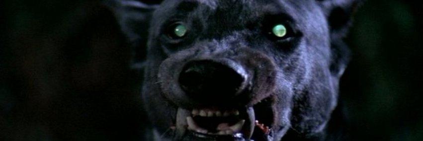 TheHorrorDogs's profile banner image
