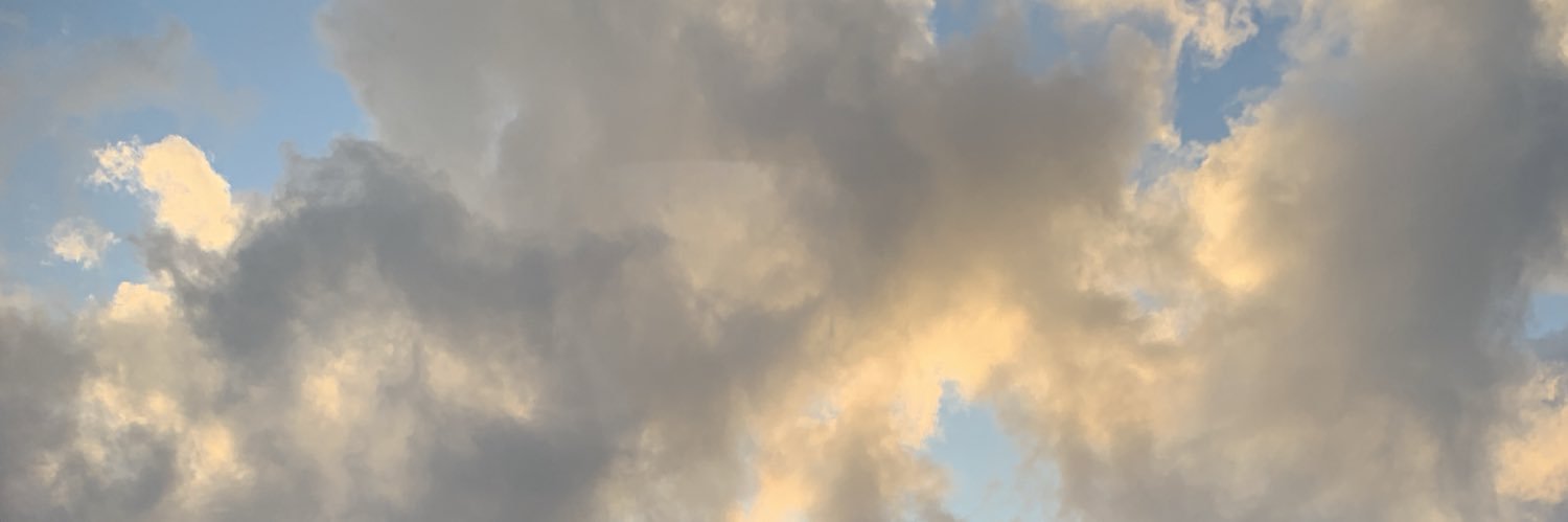 EmileePollmann's profile banner image