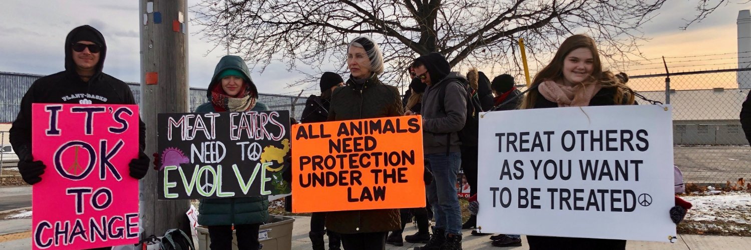 TorontoPigSave banner