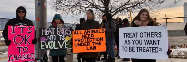 TorontoPigSave Profile Banner