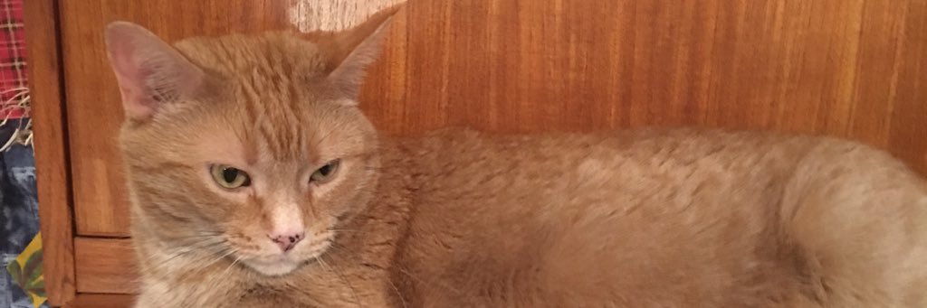 fergiebaker's profile banner image
