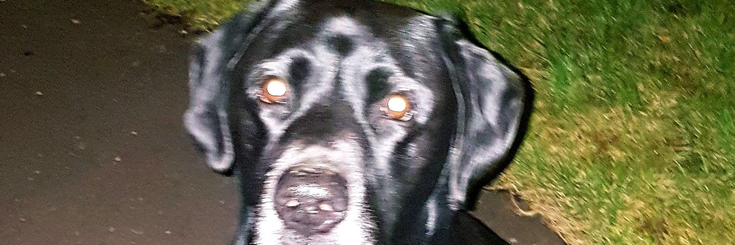 AllisonSom78's profile banner image