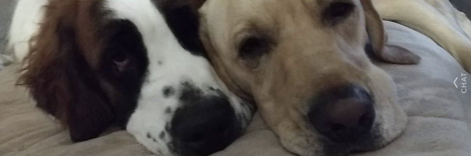 Kaylahammond_'s profile banner image