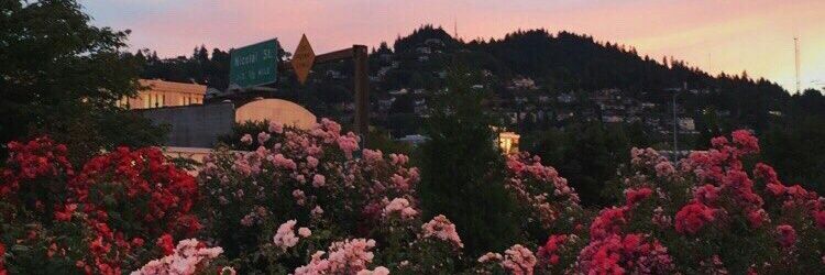 irynkaaaa_'s profile banner image