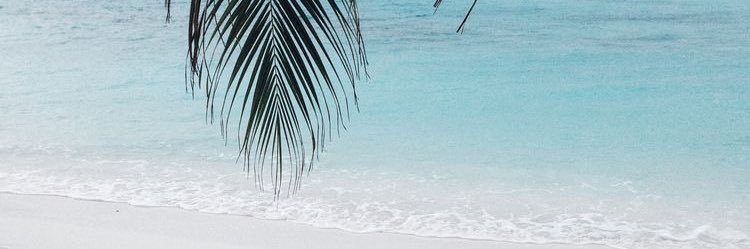 SamiraMorais5's profile banner image