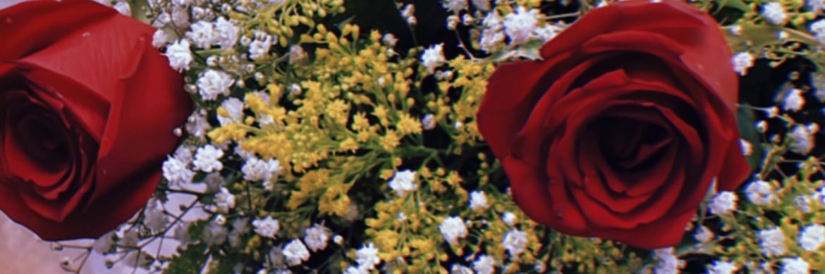 larispoli_'s profile banner image