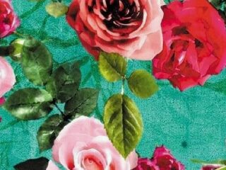 claravg1's profile banner image
