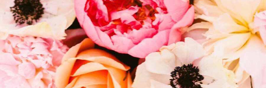 tanyailwilson's profile banner image