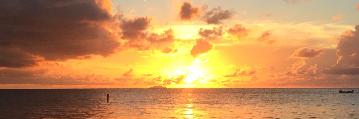 Vladi11's profile banner image
