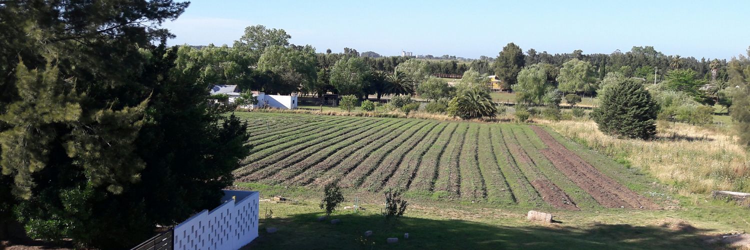 Robert Hans Casanova banner