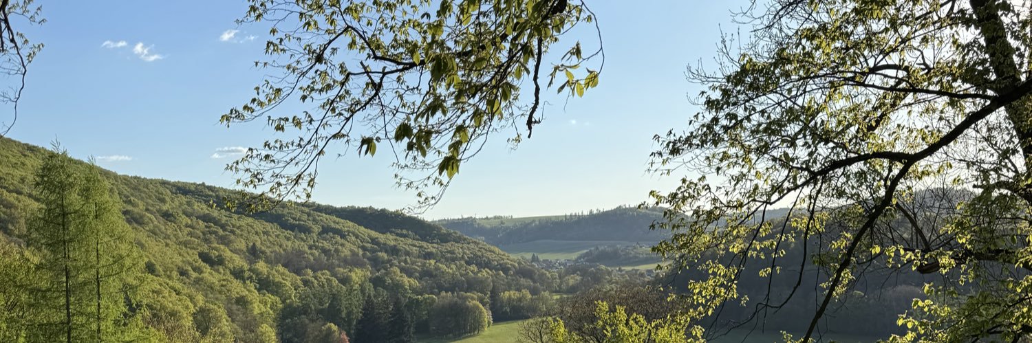 PawelLPawlowski's profile banner image