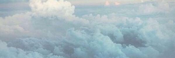 sandycheeks760's profile banner image