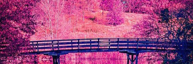 EmilyPond10's profile banner image