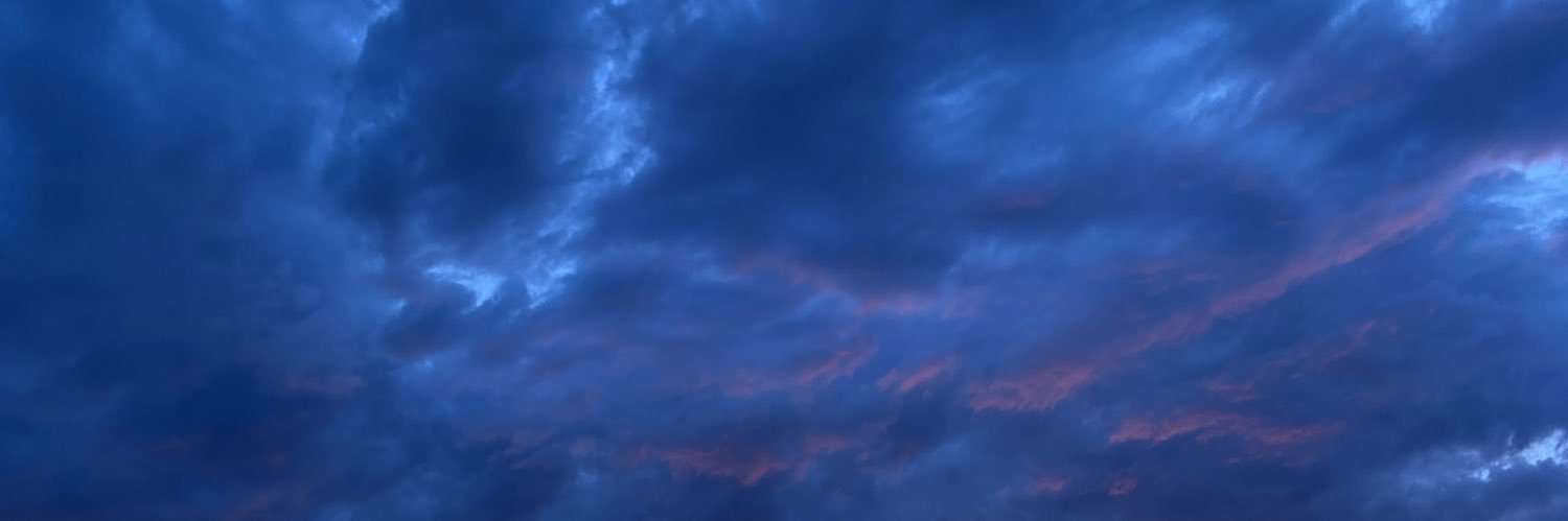 florrflorr's profile banner image