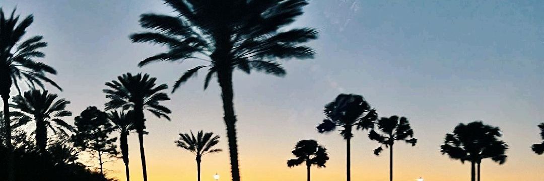 spicydells's profile banner image