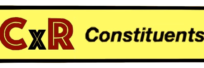 CXRcat's profile banner image