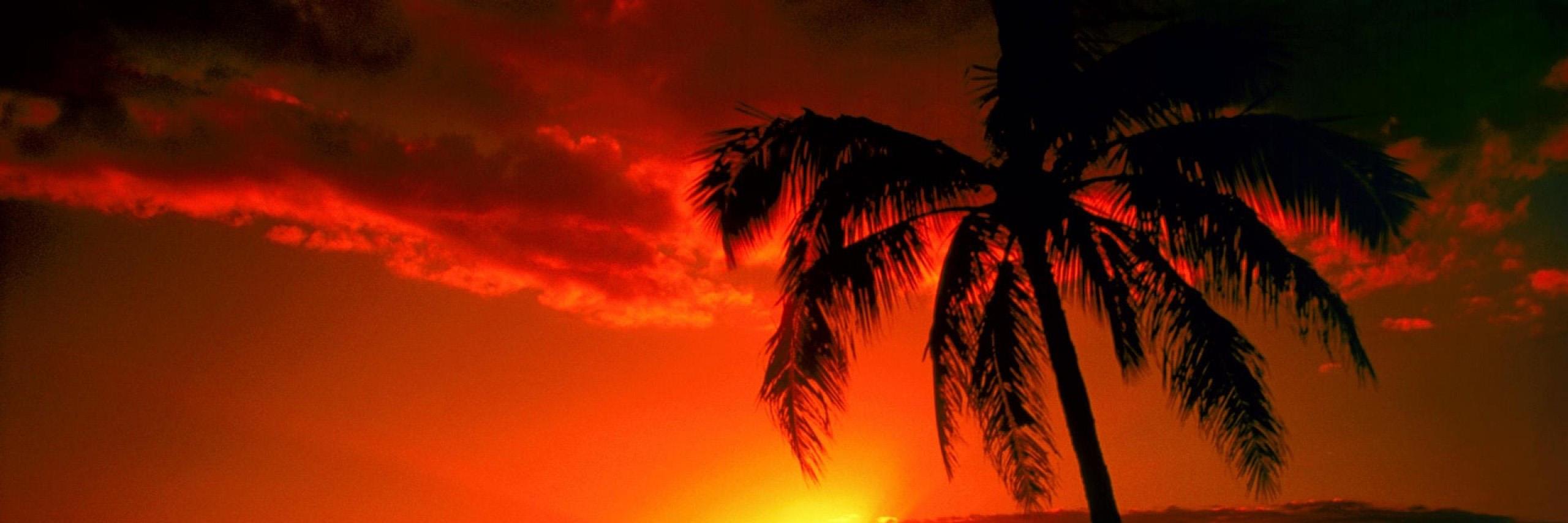 K_Buchanan1's profile banner image
