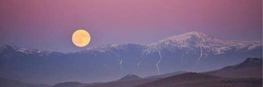 lynnz22's profile banner image