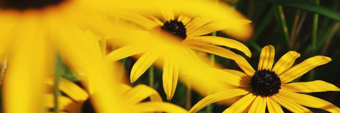 JessR_24's profile banner image