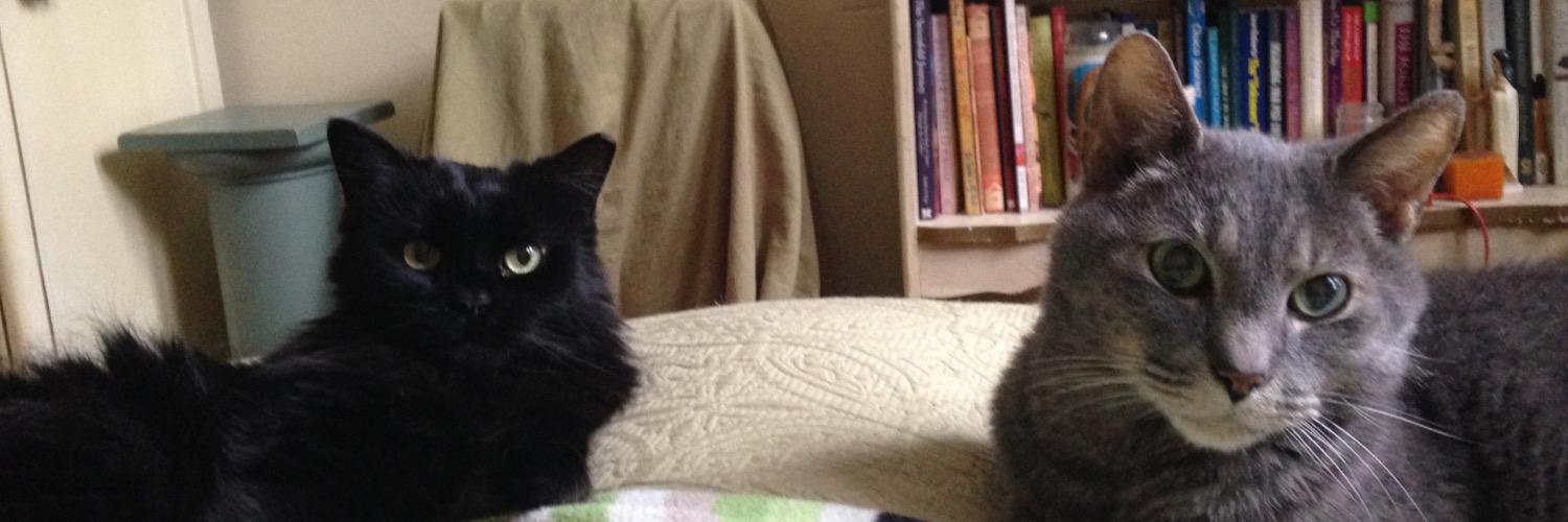 Conscious Pet Service banner