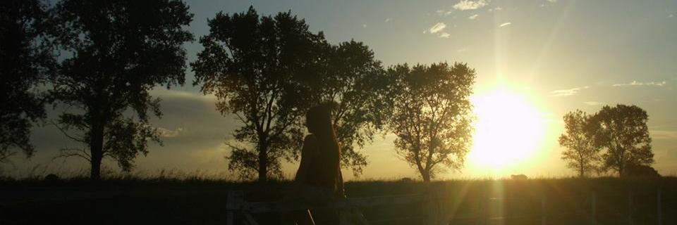LeliElii's profile banner image