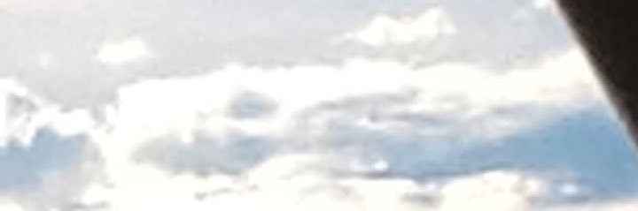 zdogs's profile banner image